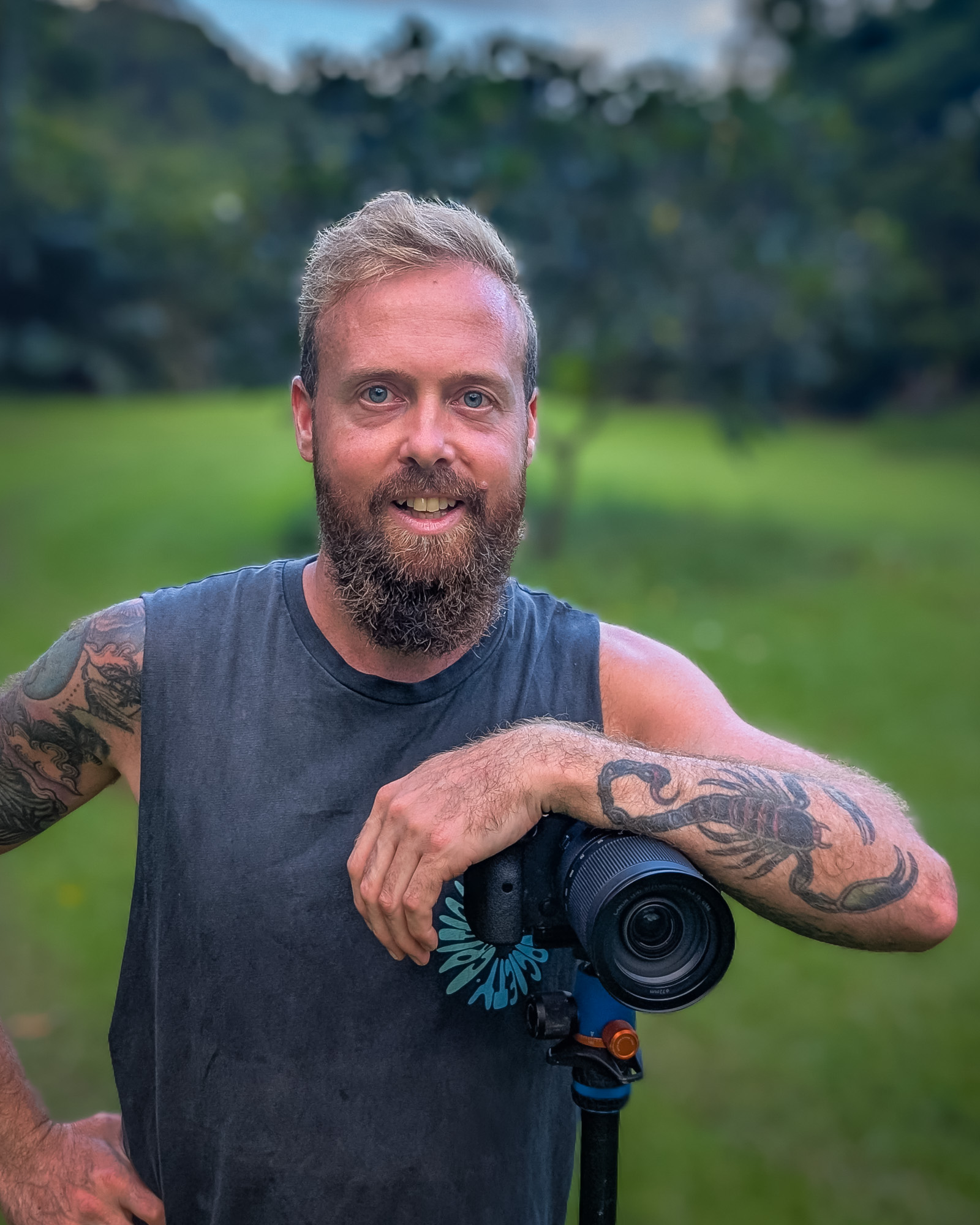 Des from DB Websites